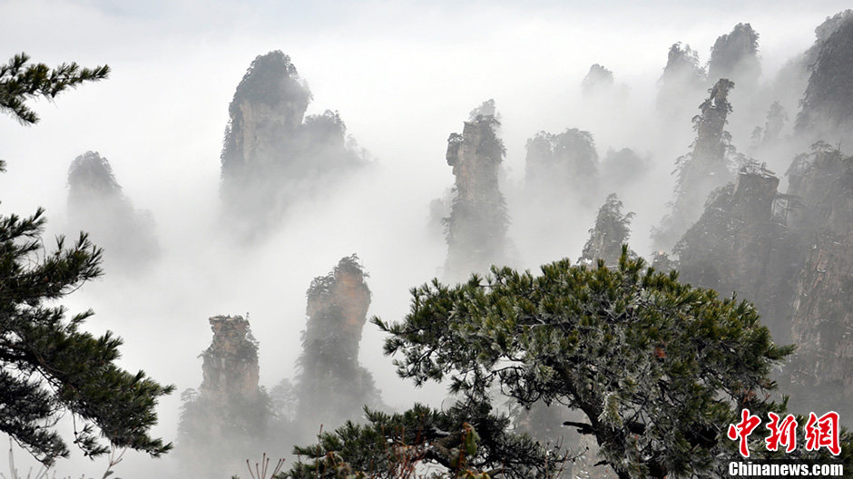 Photo taken on February 20 shows the snow scenery of Zhangjiajie in Central China's Hunan Province. (CNS/Deng Daoli)