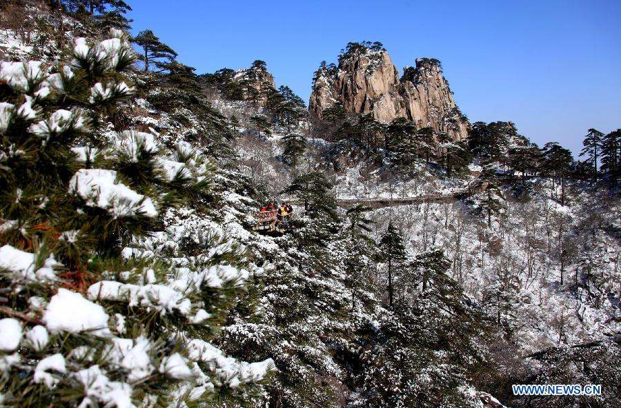 Photo taken on Feb. 20, 2013 shows the snow-covered pine trees at the Huangshan Mountain scenic area in east China's Anhui Province. (Xinhua/Shi Guangde) 