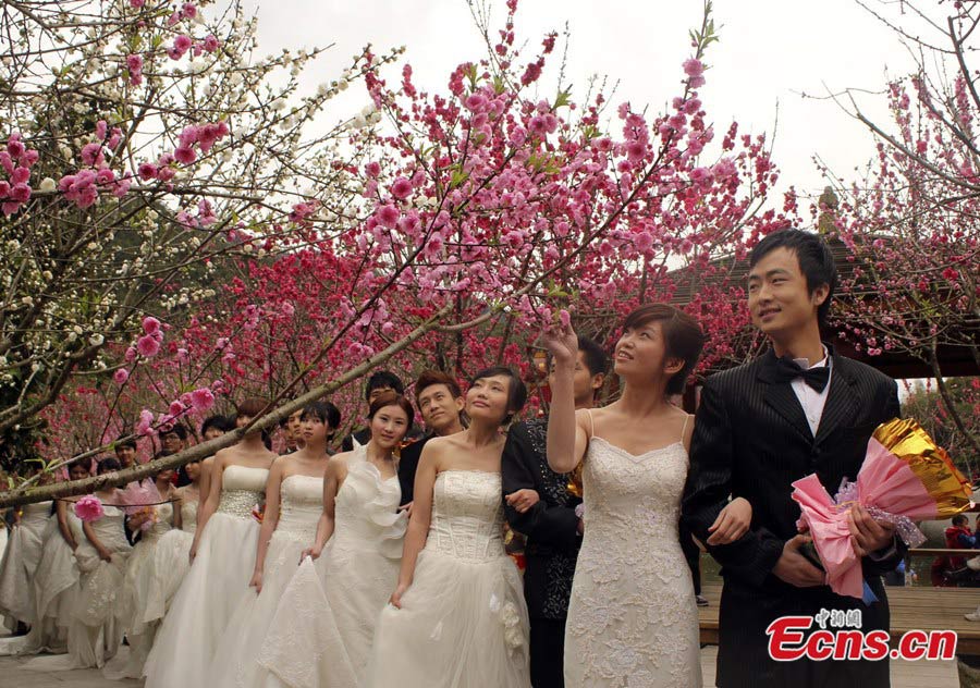 The Fourth Beixi Peach Blossom Culture and Tourism Festival opened at the Beixi Village of Yongchun in Southeast China's Fujian Province on February 20, 2013. (CNS/Su Qiaofeng)