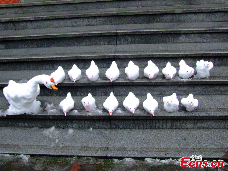 Vivid snow sculptures, including one goose and 16 chicks, are seen in Hangzhou, the capital city of East China's Zhejiang Province, February 19, 2013. The sculptures were made by Mr. Du, a 49-year-old security guard who has become addicted to snow carving since three years ago. (CNS/Wu Jiawei)