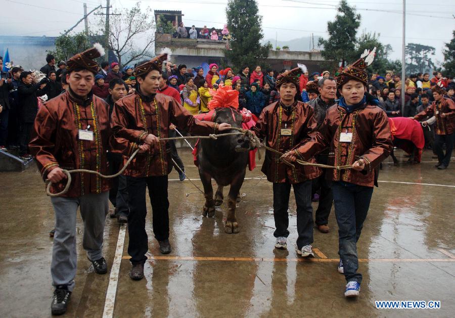Locals of Miao ethnic group hold a spring ploughing ceremony during a traditional gathering between villages to mark the Spring Festival, or Chinese Lunar New Year, at Antai Township in Rongshui Miao Autonomous County, south China's Guangxi Zhuang Autonomous Region, Feb. 21, 2013. (Xinhua/Zhang Ailin) 