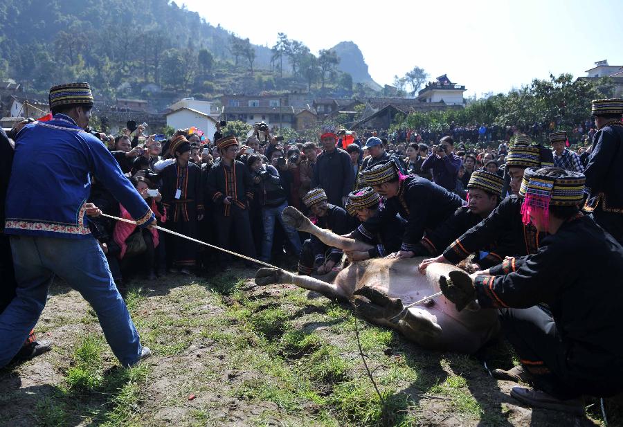 Villagers of Yao ethnic group sacrifice a bull to Panwang (King Pan), the legendary ancestor of the Yao people, at Shikou Village of Sanjiang Township in Gongcheng Yao Autonomous County, south China's Guangxi Zhuang Autonomous Region, Feb. 23, 2013. (Xinhua/Zhou Hua) 