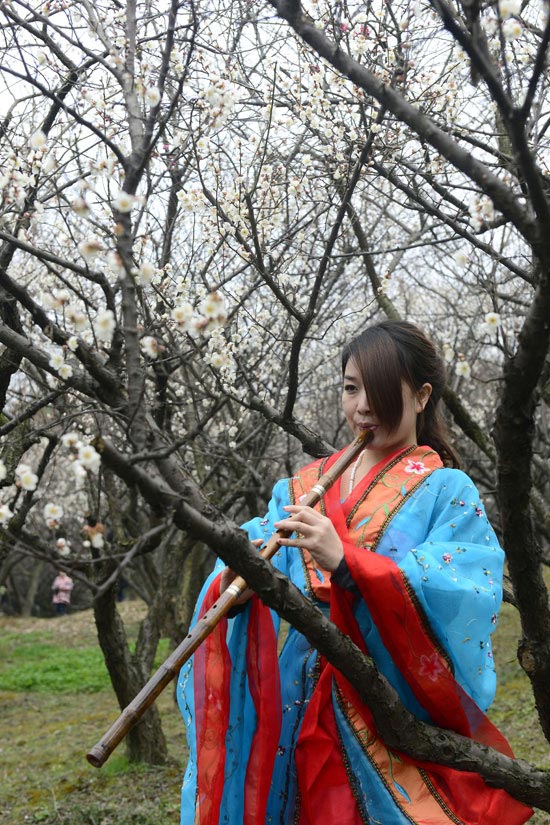 A female musician wearing Han dress blows Chinese vertical bamboo flute beside a prune tree at Xixi National Wetland Park on Feb. 17, 2013. (Photo/Xinhua)