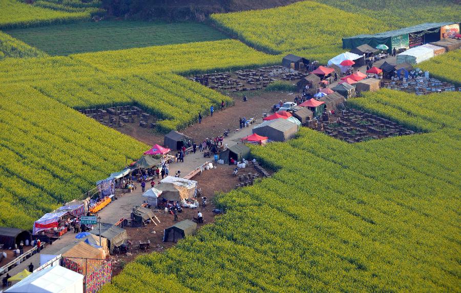 Tourists visit a market fair in the field of cole flowers in Luoping County in Qujing City, southwest China's Yunnan Province, Feb. 19, 2013. Luoping County is well-known for its cole flower scenery with its 800,000 mu (53,333 hectares) of cropland planted with cole. In 2012, the county saw its cole flowers industry bring more than one billion yuan (about 16 million US dollars) of revenues. (Xinhua/Yang Zongyou)