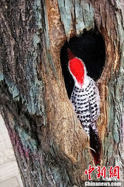 Student painter Wang Yue shows her talent by painting tree holes in Shijiazhuang, capital city of Hebei Province. (Photo/CNS)