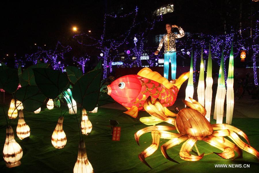 Photo taken on Feb. 24, 2013 shows colored lanterns at the Taiwan Lantern Festival in Hsinchu, southeast China's Taiwan. The event that kicked off on Sunday will last until March 10. (Xinhua) 