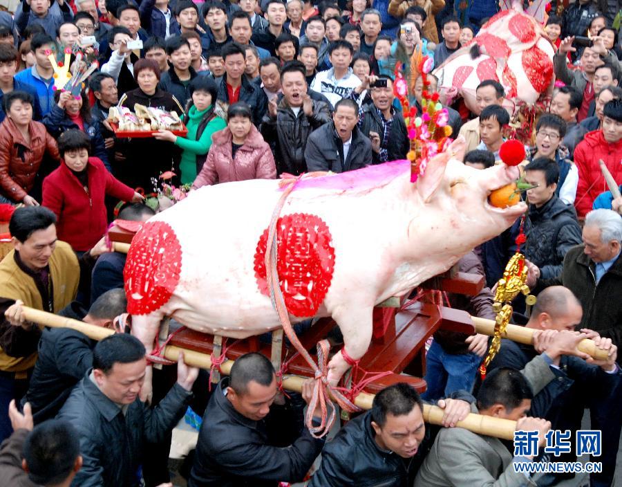 Villagers carrying a big pig participate in celebration activities during the Spring Festival in Shantou of Guangdong on Feb. 17, 2013. It was the eighth day after the Lunar New Year, people from Yuepu village held the annual folk activity "match pig". The big pig was regarded a "sacrifice" to pray for the peace. (Xinhua/Xu Ming)