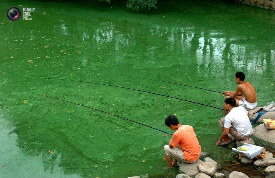 Three boys in an algae-covered river in Hefei.  (File Photo)