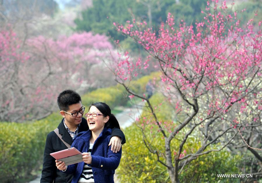 Photo taken on Feb. 27, 2013 shows a couple enjoy the scenery of plum blossoms at the "plum blossom mountain" scenic spot in Nanjing, capital of east China's Jiangsu Province. Plum blossoms began to bloom as temperature rised in Jiangsu. (Xinhua)