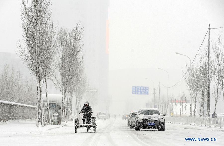 The traffic moves in snow in Shenyang, capital of northeast China's Liaoning Province, Feb. 28, 2013. Liaoning was hit by a snowstorm on Thursday. (Xinhua/Li Gang) 
