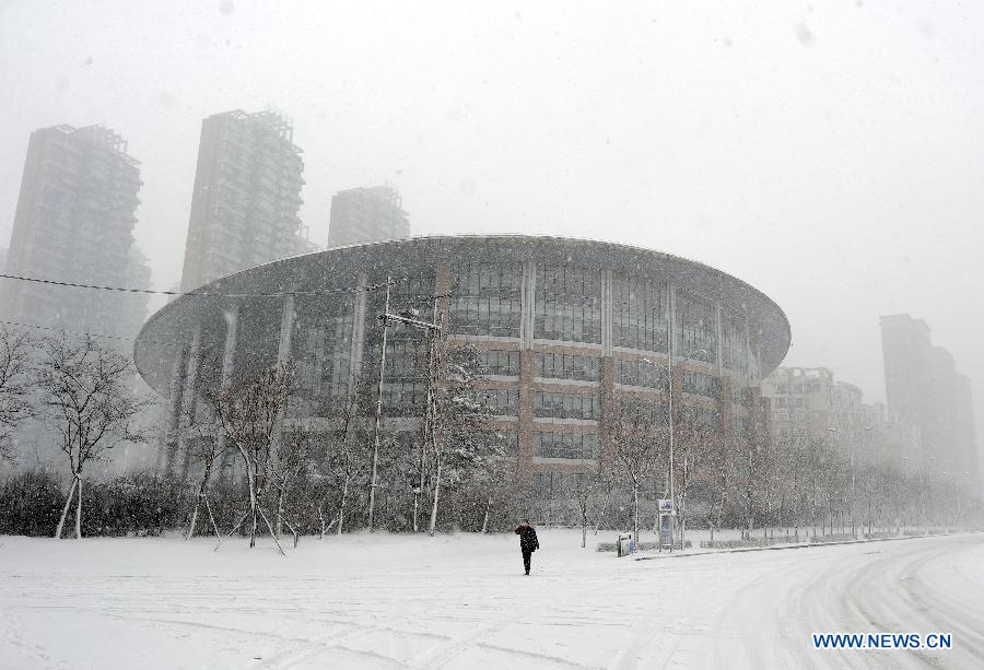 A pedestrian walks in snow in Shenyang, capital of northeast China's Liaoning Province, Feb. 28, 2013. Liaoning was hit by a snowstorm on Thursday. (Xinhua/Li Gang) 