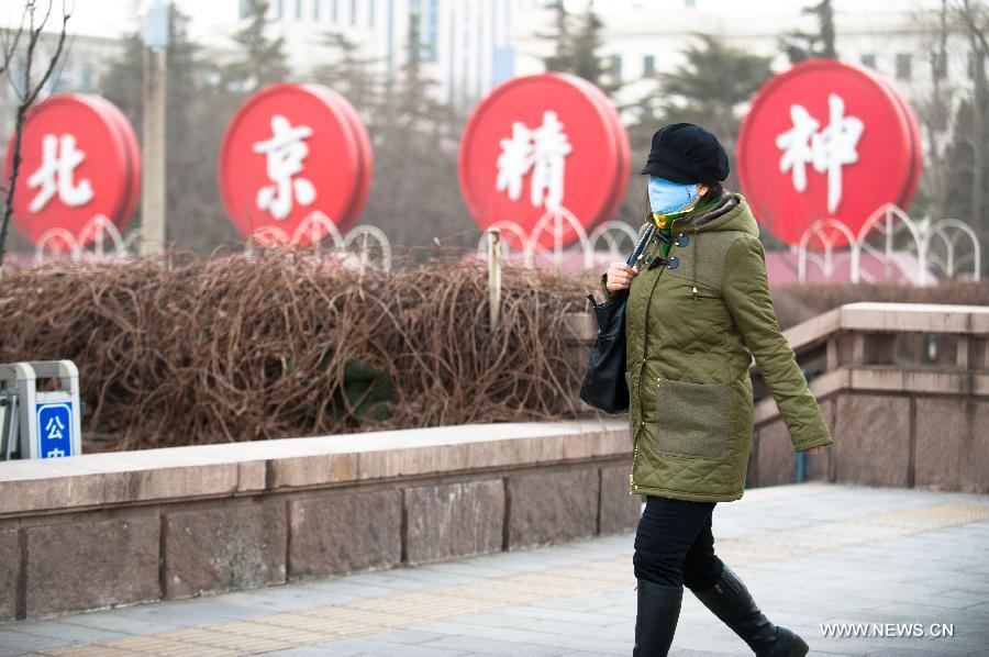A pedestrian wearing mask walks on the West Chang'an Street in Beijing, capital of China, Feb. 28, 2013. A cold front blew away fog and smog which hit Beijing on Feb. 28 morning, but brought dust and sand from Mongolia and north China's Inner Mongolia Autonomous Region. (Xinhua/Liu Jinhai)