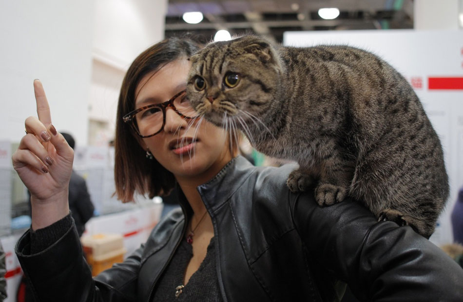 Pets with hilarious expressions attract visitors to Shanghai Pet Fair (6)