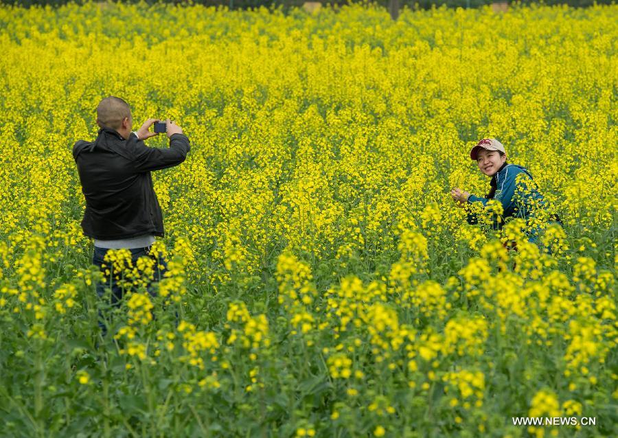 Tourists take photos in the rape flower field during the 6th rape flower festival in Tongnan County, southwest China's Chongqing Municipality, March 1, 2013. The festival will last until late March. (Xinhua/Chen Cheng) 