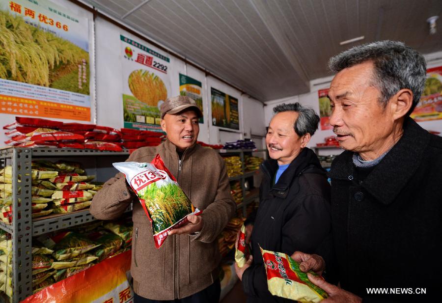 Farmer Ji Youji (1st R) selects rice seeds for spring sowing in Jianyang City of east China's Fujian Province, March 2, 2013. (Xinhua/Zhang Guojun) 