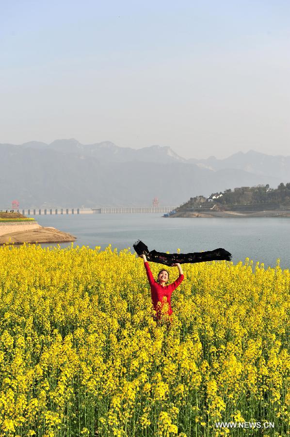 A visitor enjoys herself among rape flowers in Muyu Island of Maoping Town in Zigui County, central China's Hubei Province, March 3, 2013. (Xinhua/Wang Huifu) 