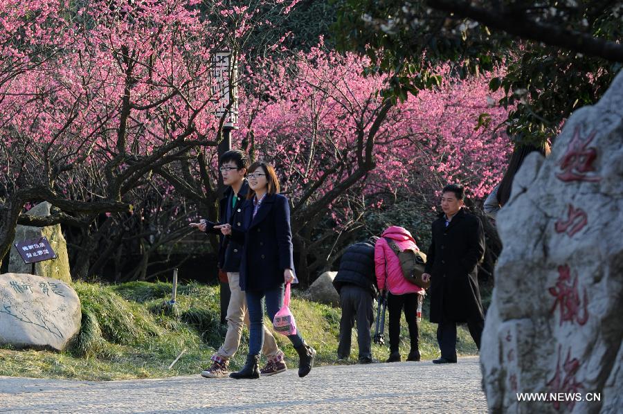 Visitors view plum blossom in Chaoshan Scenic Spot of Yuhang District in Hangzhou, capital of east China's Zhejiang Province, March 3, 2013. (Xinhua/Ju Huanzong)  