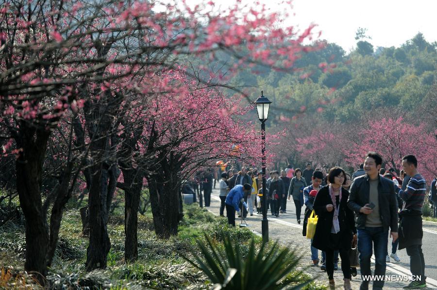 Visitors view plum blossom in Chaoshan Scenic Spot of Yuhang District in Hangzhou, capital of east China's Zhejiang Province, March 3, 2013. (Xinhua/Ju Huanzong) 