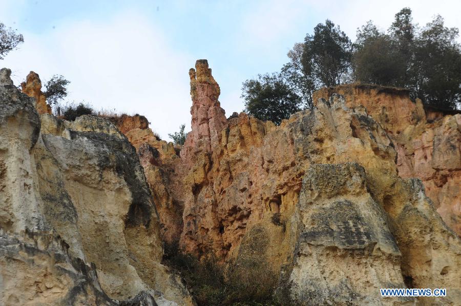 Photo taken on March 4, 2013 shows the landscape of the Shalin scenic area in Luliang County, southwest China's Yunnan Province. With various geological wonders, Shalin scenic area has long been a tourist attraction. (Xinhua/Chen Haining)