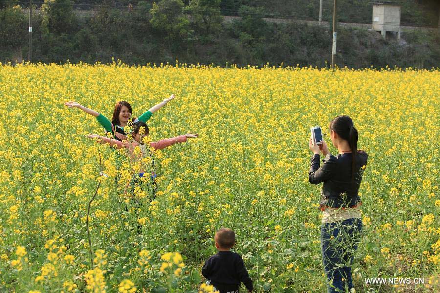 Tourists are seen in the field of rape flowers in Rong'an County of southwest China's Guangxi Zhuang Autonomous Region, March 5, 2013. Rape flowers began to blossom as temperature went up here, attracting large amount of tourists. (Xinhua/Tan Kaixing)