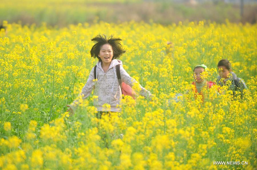 Young students walk home after school in the field of rape flowers in Rong'an County of southwest China's Guangxi Zhuang Autonomous Region, March 5, 2013. Rape flowers began to blossom as temperature went up here, attracting large amount of tourists. (Xinhua/Huang Xiaobang)