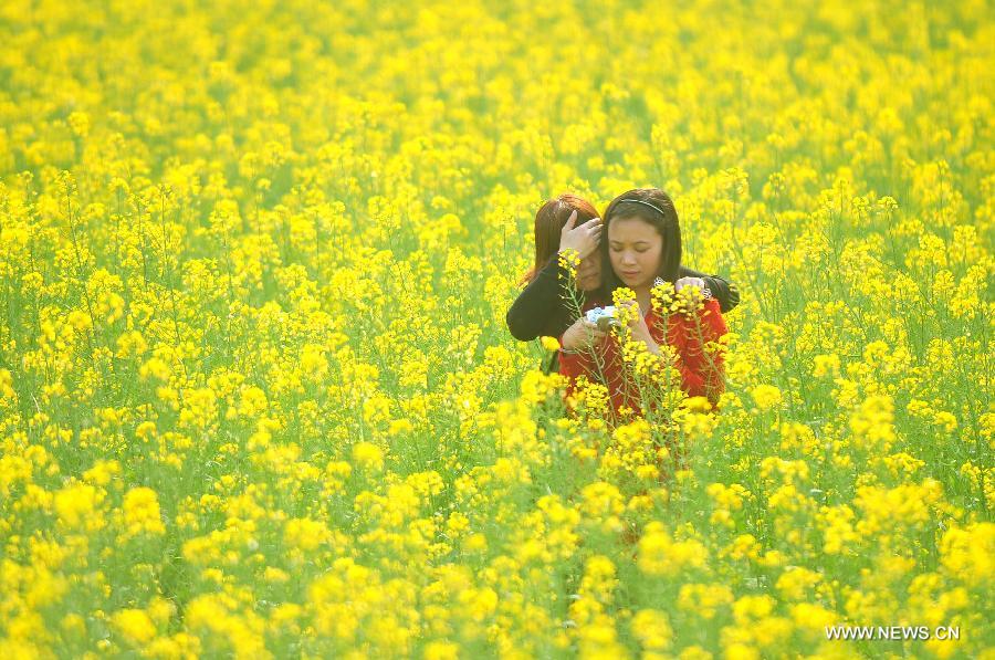 Tourists are seen in the field of rape flowers in Rong'an County of southwest China's Guangxi Zhuang Autonomous Region, March 5, 2013. Rape flowers began to blossom as temperature went up here, attracting large amount of tourists. (Xinhua/Huang Xiaobang) 
