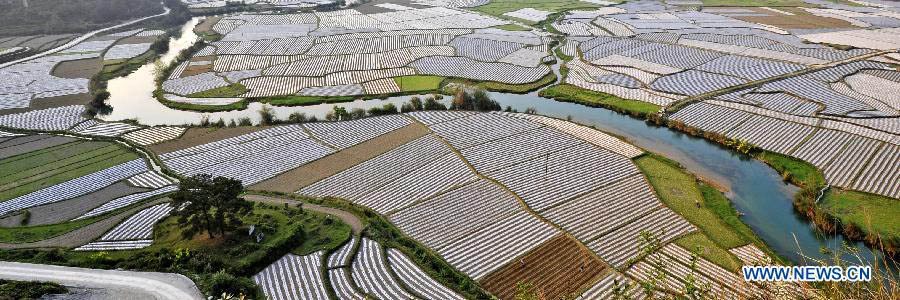 Photo taken on March 6, 2013 shows the scenery of croplands in Jinlong Village of Xinjing Township in Jingxi County, southwest China's Guangxi Zhuang Autonomous Region. (Xinhua/Zhao Jingwu)