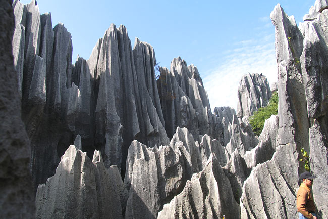 The Stone Forest,  Yunan,  China　 (Source: www.huanqiu.com)