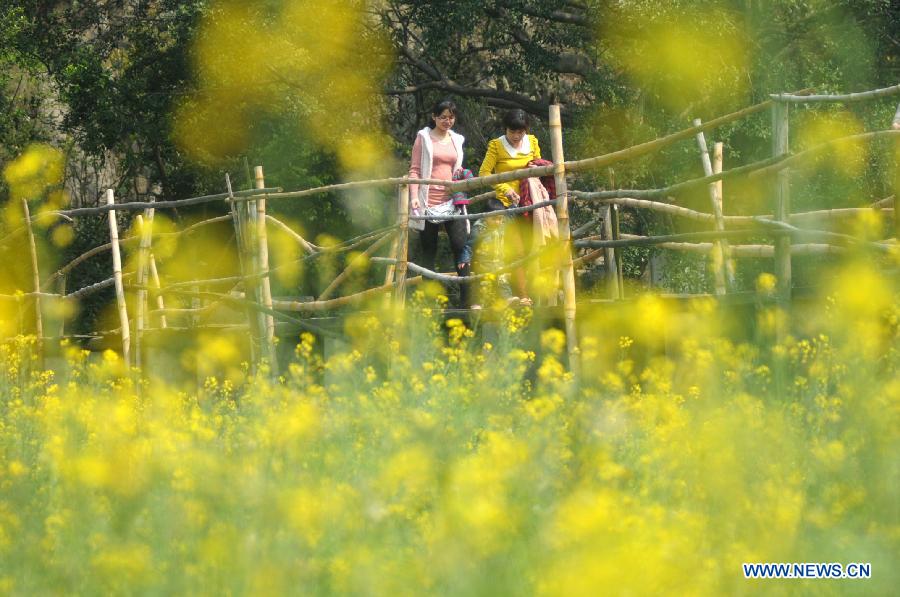 Tourists enjoy themselves in a cole flower field in Liuzhou City, southwest China's Guangxi Zhuang Autonomous Region, March 6, 2013. (Xinhua/Li Hanchi) 