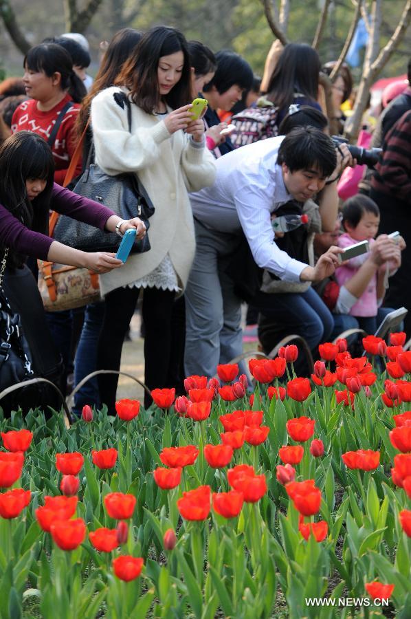 Tourists take photos of tulips at a park along the West Lake on an early spring day in Hangzhou, capital of east China's Zhejiang Province, March 7, 2013. (Xinhua/Ju Huanzong)