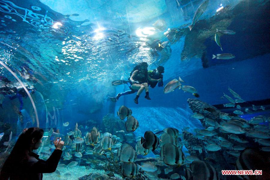 Local citizens Qu Di (L) and Wang Fang dive under professional guidance to enjoy a special Women's Day at the Polar Ocean World of Wuhan, capital of central China's Hubei Province, March 8, 2013. (Xinhua/Wang Zhenwu)