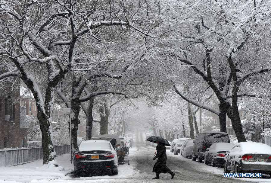 A pedestrian walks amid snow at Queens borough in New York, the United States, March 8, 2013. A late winter snowstorm hit New York on Wednesday. (Xinhua/Wang Lei) 