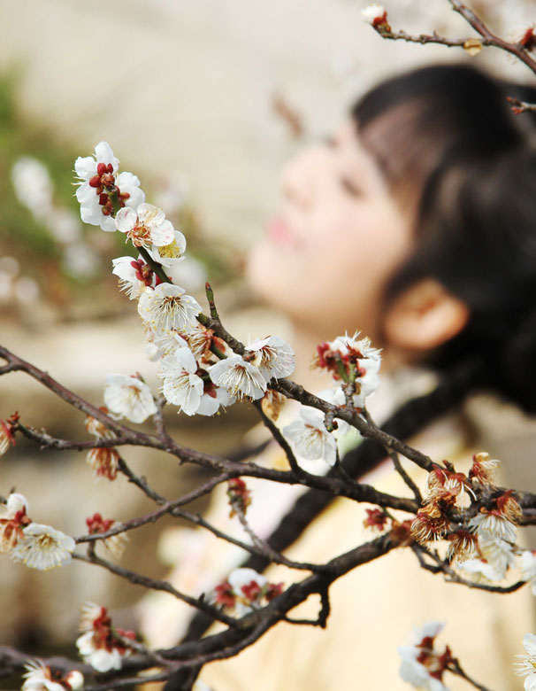 A tourist enjoys the plum blossoms in Suzhou, Jiangsu's province, Mar. 2, 2013. (Xinhua/Zhu Guigen)