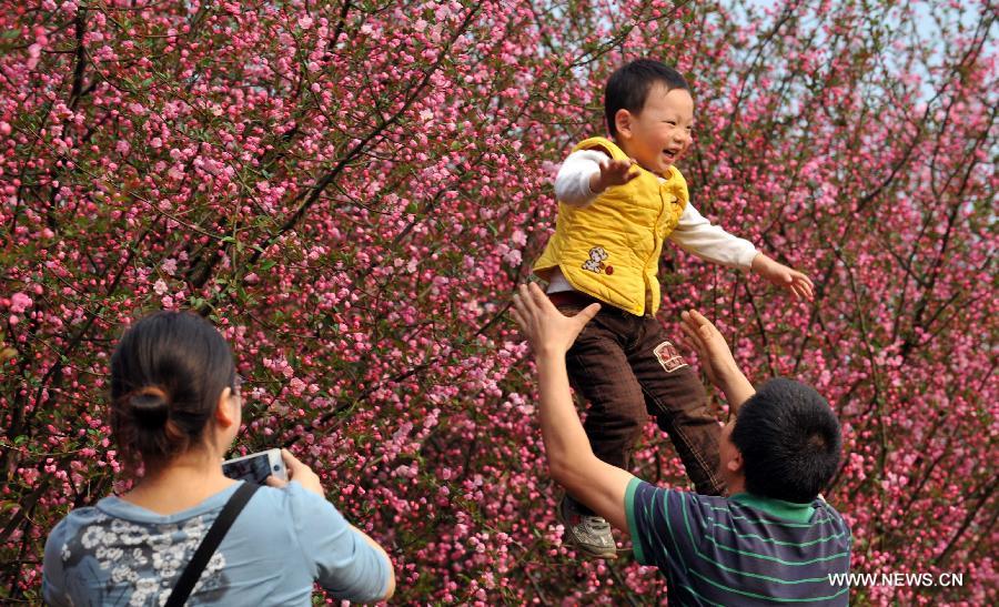 A man takes his son playing by cherry trees in Pingba Farm in Pingba County, southwest China's Guizhou Province, March 10, 2013. (Xinhua/Yang Ying) 