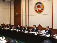 Meeting of executive chairpersons of presidium