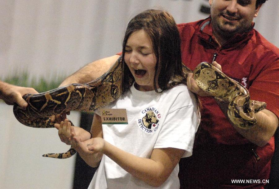 Eleven-year-old Audrey McNight of Chilliwack reacts to a common boa constrictor at the annual Pet Expo 2013 in Vancouver, Canada, on March 10, 2013. Pet Expo is a two-day consumer tradeshow showcasing all types of pets, pet products, service providers, entertainers, clubs and organizations that cater to pets. (Xinhua/Sergei Bachlakov) 
