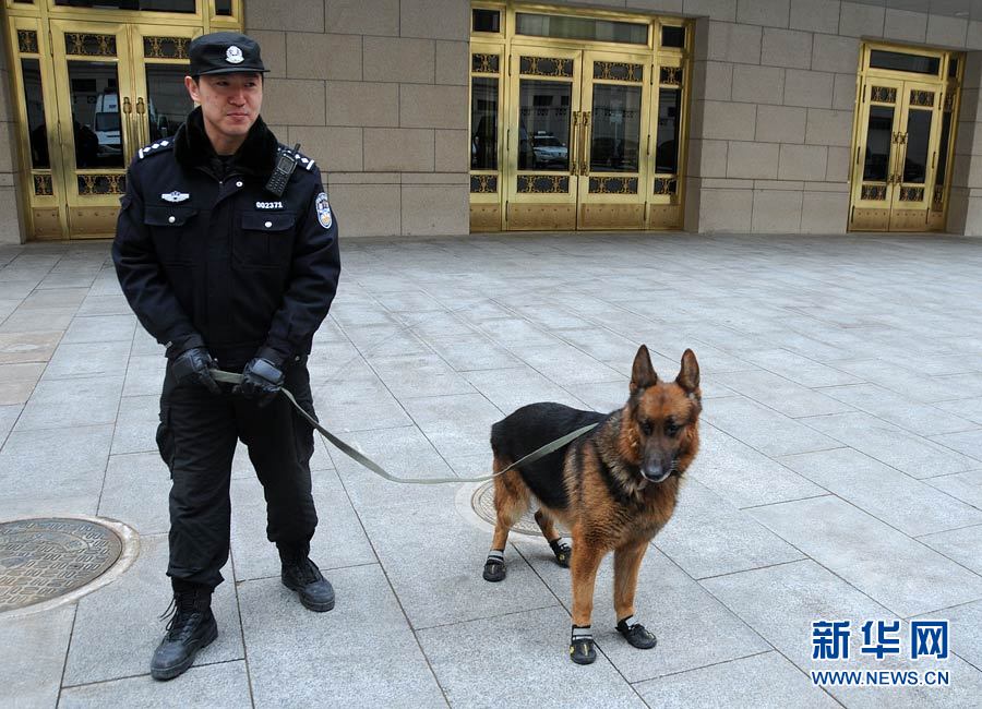 Photo shows a police dog and its trainer. (Xinhua/ Zhai Zihe)