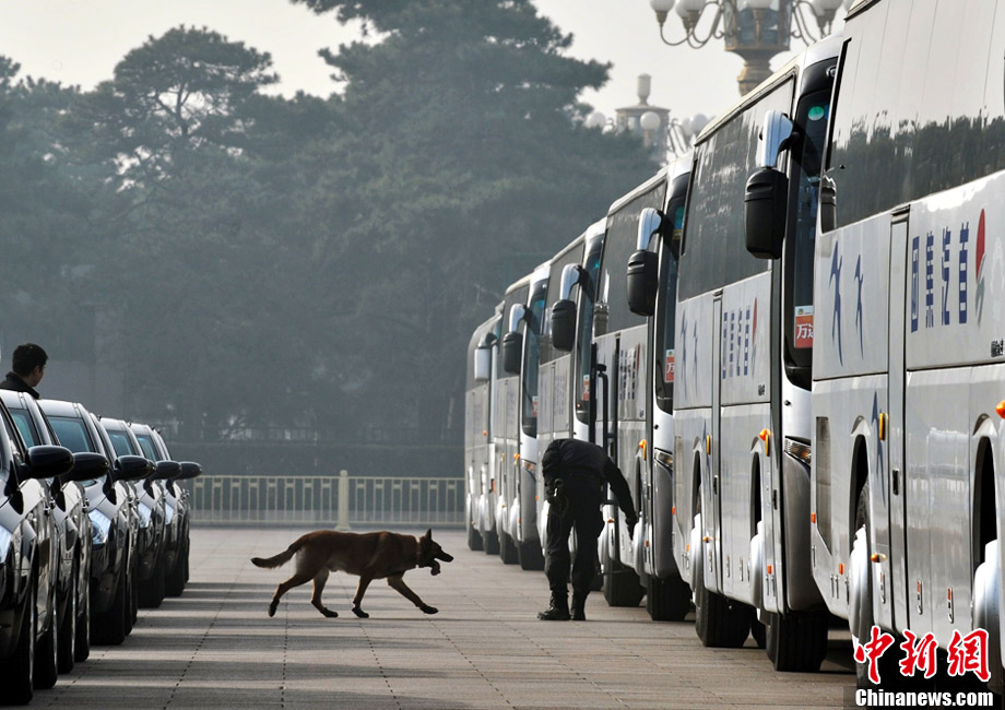 A police dog examines the buses. (Chinanews.com/ Jia Guorong)