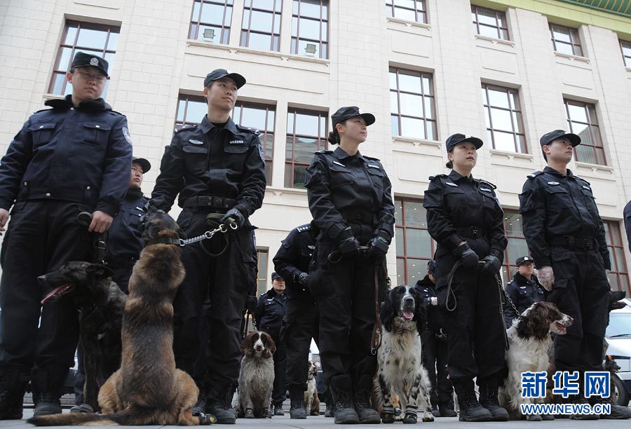 Photo shows police dogs are standing by. (Xinhua/ Zhai Zihe)