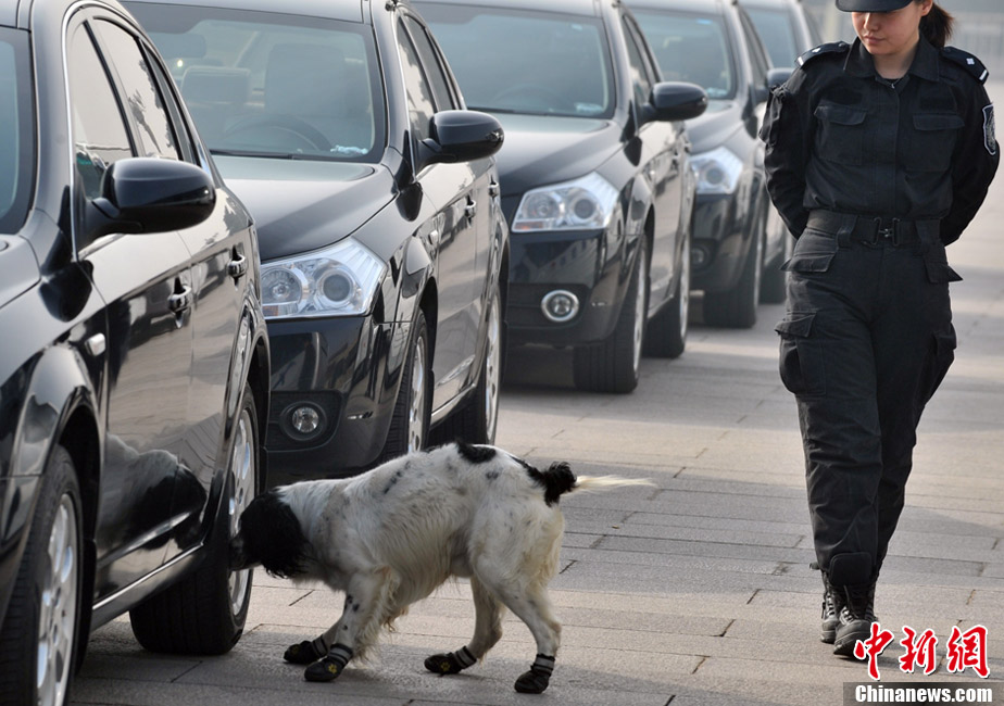 Photo shows a police dog examining a car. (Chinanews.com/ Jia Guorong)