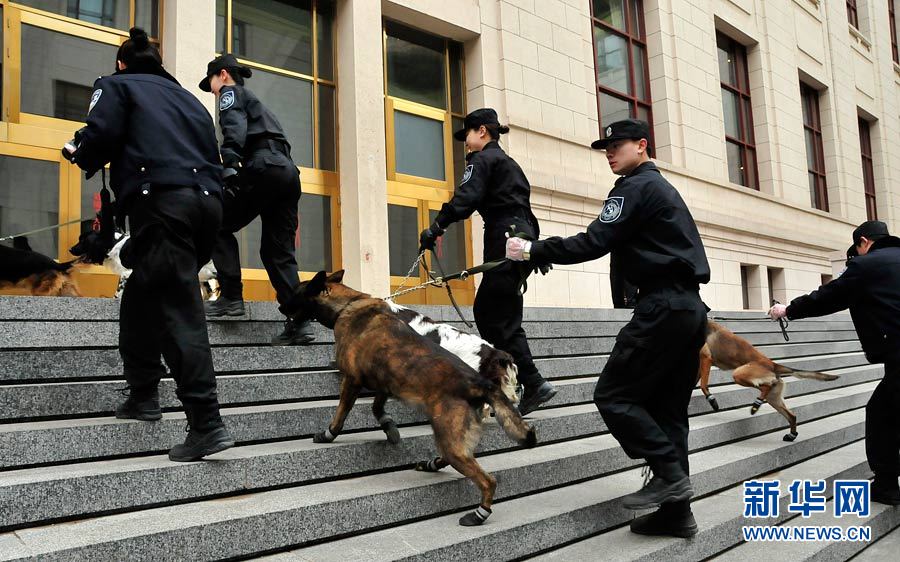 Photo shows police dogs and their trainers entering the Great Hall of the People. (Xinhua/ Su Ying)