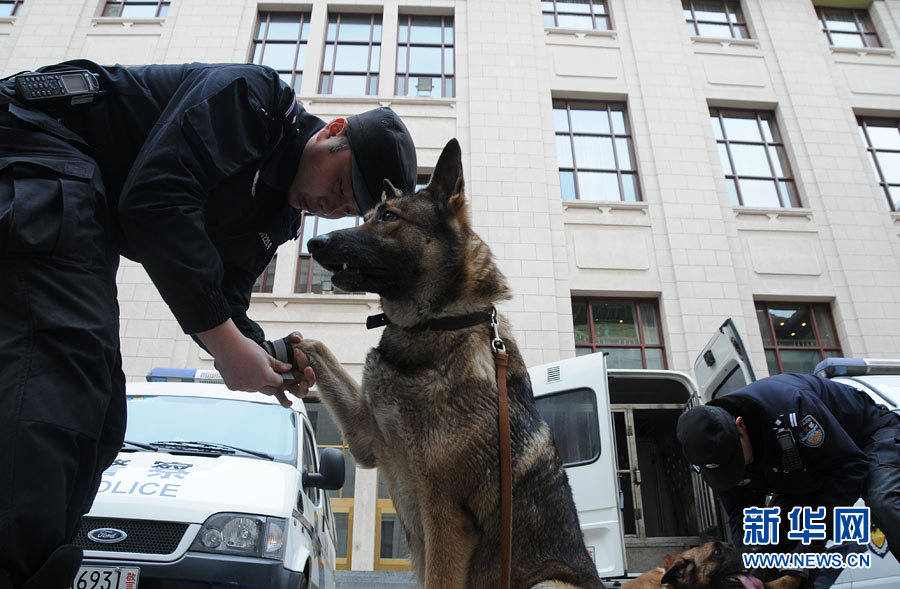 Photo shows a policeman putting shoes on a police dog. (Xinhua/ Zhai Zihe)