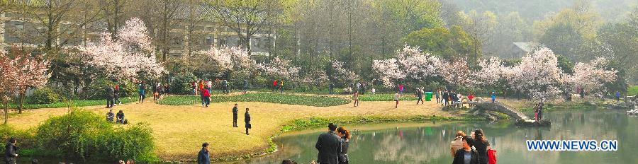 In this stitched panorama photo taken on March 11, 2013, tourists enjoy cherry blossoms on the bank of the West Lake in Hangzhou, capital of east China's Zhejiang Province. (Xinhua/Zhu Yinwei) 