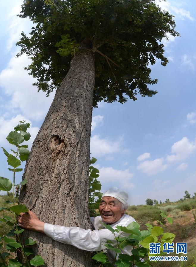 Guo Tongwang, in his 90s, hugs a poplar he planted 18 years ago in northern China's Shaanxi province on Aug. 23, 2012. Since 1984, Guo moved his family into the Muus Desert in Shaanxi, and planted various kinds of trees to turn 45, 000 mu, or 3,000 hectares of sand dunes into forest. (Photo/Xinhua)