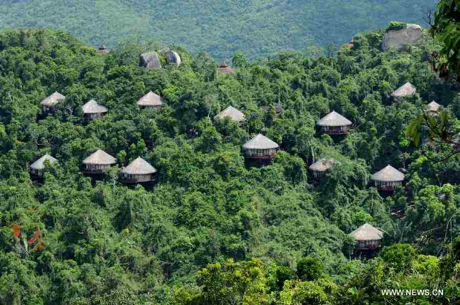 Photo taken on May 19, 2012 shows the scenery of a forest park in Sanya, south China's Hainan Province. China's Arbor Day, or Planting Trees Day, which falls on March 12 each year, is an annual compaign to encourage citizens to plant and care for trees. (Xinhua/Liang Fuying)