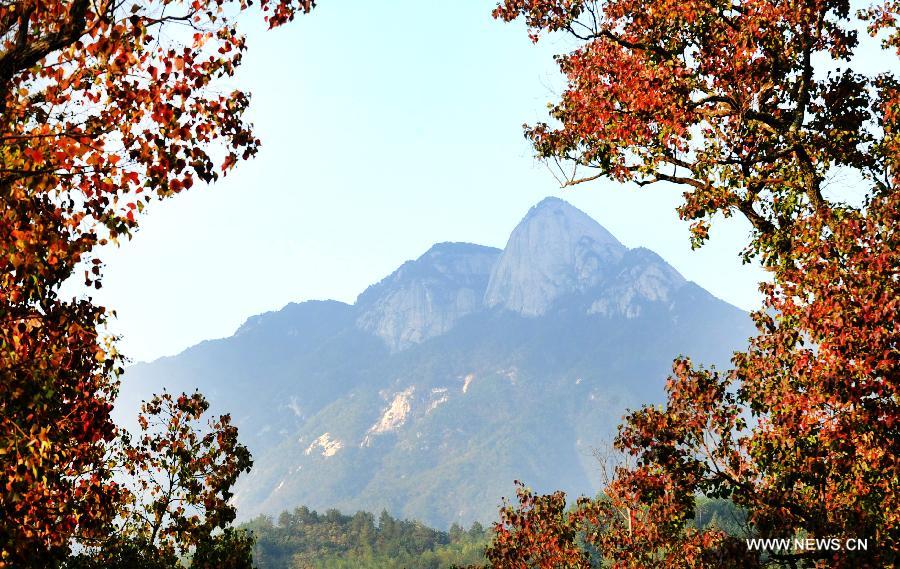 Photo taken on Oct. 27, 2012 shows the scenery of trees in Jiuzihe Town of Luotian County in central China's Hubei Province. China's Arbor Day, or Planting Trees Day, which falls on March 12 each year, is an annual compaign to encourage citizens to plant and care for trees. (Xinhua/Chen Li)