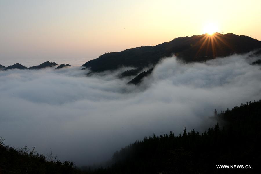 Photo taken on Feb. 18, 2013 shows the scenery of cloud-shrouded trees in the Longlin Autonomous County of All Nationalities, southwest China's Guangxi Zhuang Autonomous Region. China's Arbor Day, or Planting Trees Day, which falls on March 12 each year, is an annual compaign to encourage citizens to plant and care for trees. (Xinhua/Wei Wanzhong)