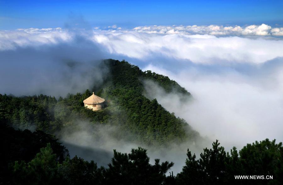 Photo taken on Sept. 30, 2010 shows the scenery of cloud-shrouded trees in the Lushan Mountain in Jiujiang, east China's Jiangxi Province. China's Arbor Day, or Planting Trees Day, which falls on March 12 each year, is an annual compaign to encourage citizens to plant and care for trees. (Xinhua)