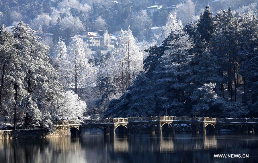 Photo taken on Dec. 26, 2010 shows the scenery of snow-covered trees in the Lushan Mountain in Jiujiang, east China's Jiangxi Province. China's Arbor Day, or Planting Trees Day, which falls on March 12 each year, is an annual compaign to encourage citizens to plant and care for trees. (Xinhua) 