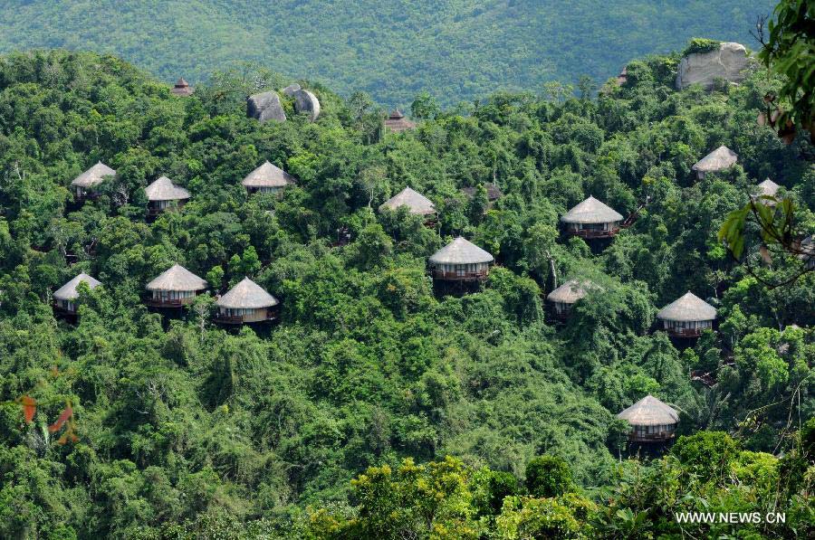 Photo taken on May 19, 2012 shows the scenery of a forest park in Sanya, south China's Hainan Province. China's Arbor Day, or Planting Trees Day, which falls on March 12 each year, is an annual compaign to encourage citizens to plant and care for trees. (Xinhua/Liang Fuying) 